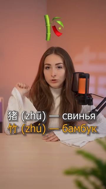 Вот почему тоны в китайском важны! zhū