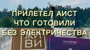 ПРИЛЕТЕЛ АИСТ. Один день из жизни, без электричества