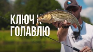 ЛЕТНЯЯ ЖАРА — ВРЕМЯ КРУПНОГО ГОЛАВЛЯ! Секретные проводки и рабочие цвета воблера Lucky John Haira