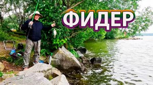Рыболовное утро на Шарташе фидер в паузах между ливнями