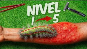 СУПЕР ГУСЕНИЦА. CATERPILLARS: уровни 1–5! Я проигрываю челлендж!