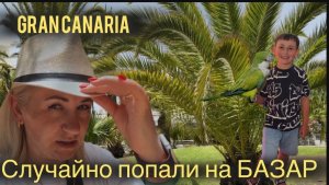 Gran Canaria 🇮🇨 Случайно попали на Базар 🛍️ Я их увидела 🦜 Чем нас кормят на ужин 🍽️ накормили