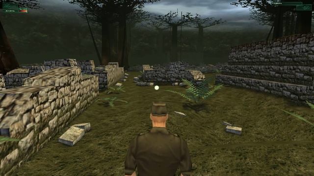 Hitman: Codename 47. №7: Миссия 6: Лесное божество.