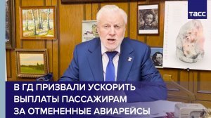 В ГД призвали ускорить выплаты пассажирам за отмененные авиарейсы