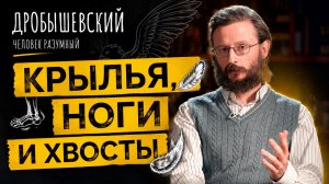 Какие звери окружали древних людей? Дробышевский