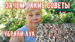 305🏡 Зачем я это сделала/Советы, которых на просят/Урожай лука