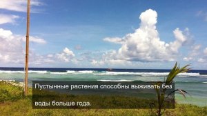 «Атмосферные фото с поэтичными подписями»
