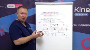 История создания тейпирования. Как правильно клеить тейпы.