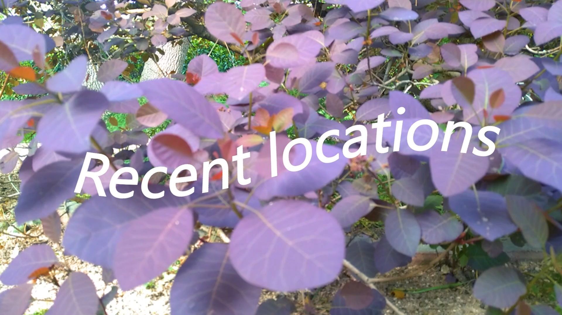Recent Locations