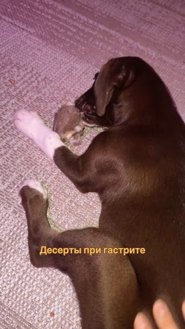 Десерт при гастрите