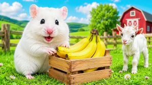 БАНАНОВЫЙ ПОБЕГ!🍌  Хомяк против ловушек в Тюрьме на Ферме 🐹💥Видео детям