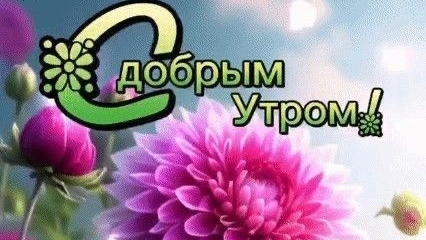 Доброе летнее утро! Самая лучшая музыкальная открытка. смотреть онлайн