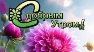 Доброе летнее утро! Самая лучшая музыкальная открытка.
