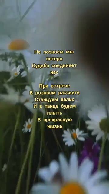 творчество. стихи.