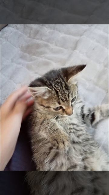 переворот смотреть онлайн