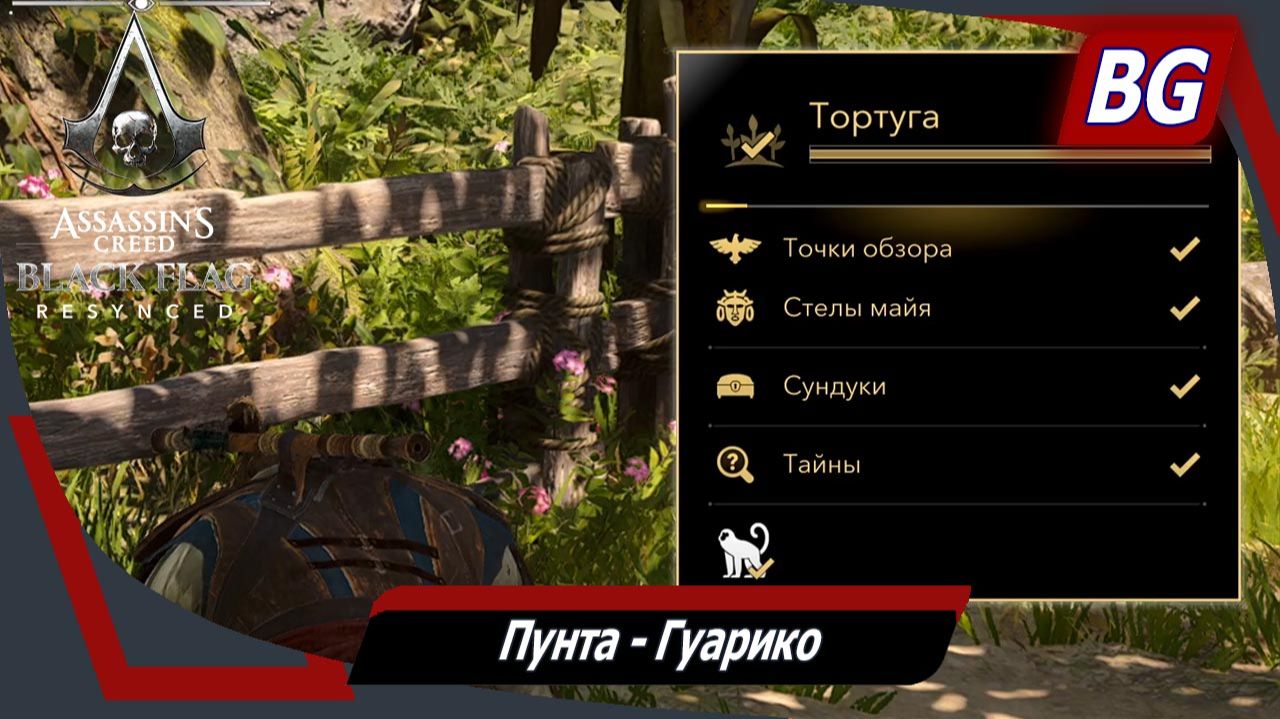 Assassin's Creed Black Flag Resynced ➤ Пунта-Гуарико ➤ Местонахождение всех коллекционных предметов