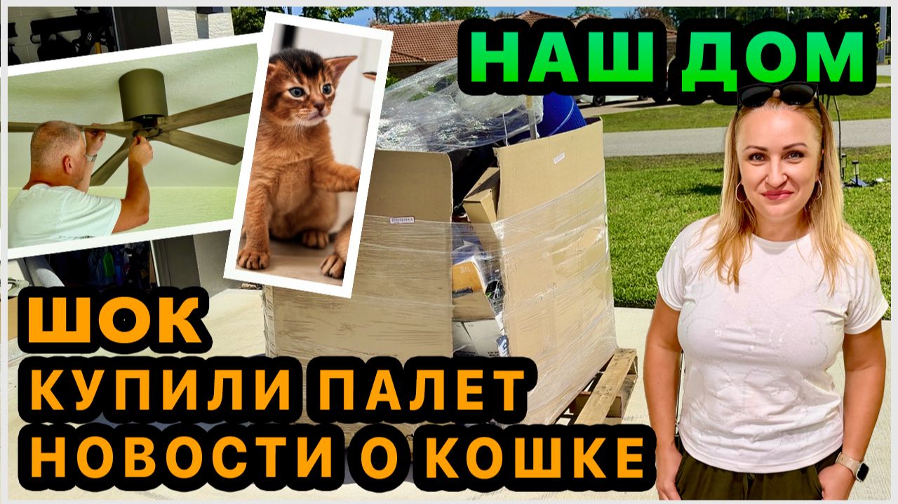Шок от покупки палета🤦🏼♀️ Когда заберем кошку? Обустраиваем задний двор. Купили вентиляторы смотреть онлайн
