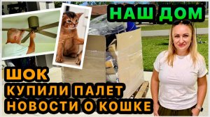 Шок от покупки палета🤦🏼♀️ Когда заберем кошку? Обустраиваем задний двор. Купили вентиляторы