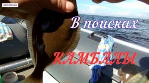 Камбала 2026