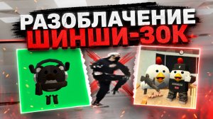 РАЗОБЛАЧЕНИЕ ШИНШИ-30K
