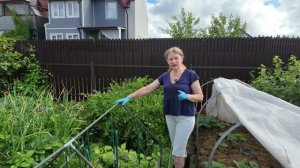 Мои ошибки при выращивании перца.