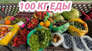 Закупка НА 2 НЕДЕЛИ семьи с 6 детьми (100 КГ продуктов)