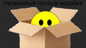 «Как Сирень познакомилась с Верити» «Незванный гость в коробке» 1 Серия (В опис зайдите)