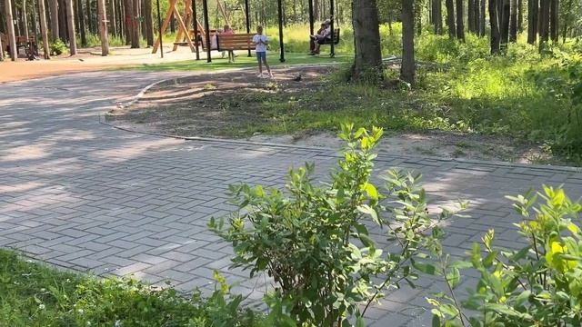 Помните то чувство из детства?