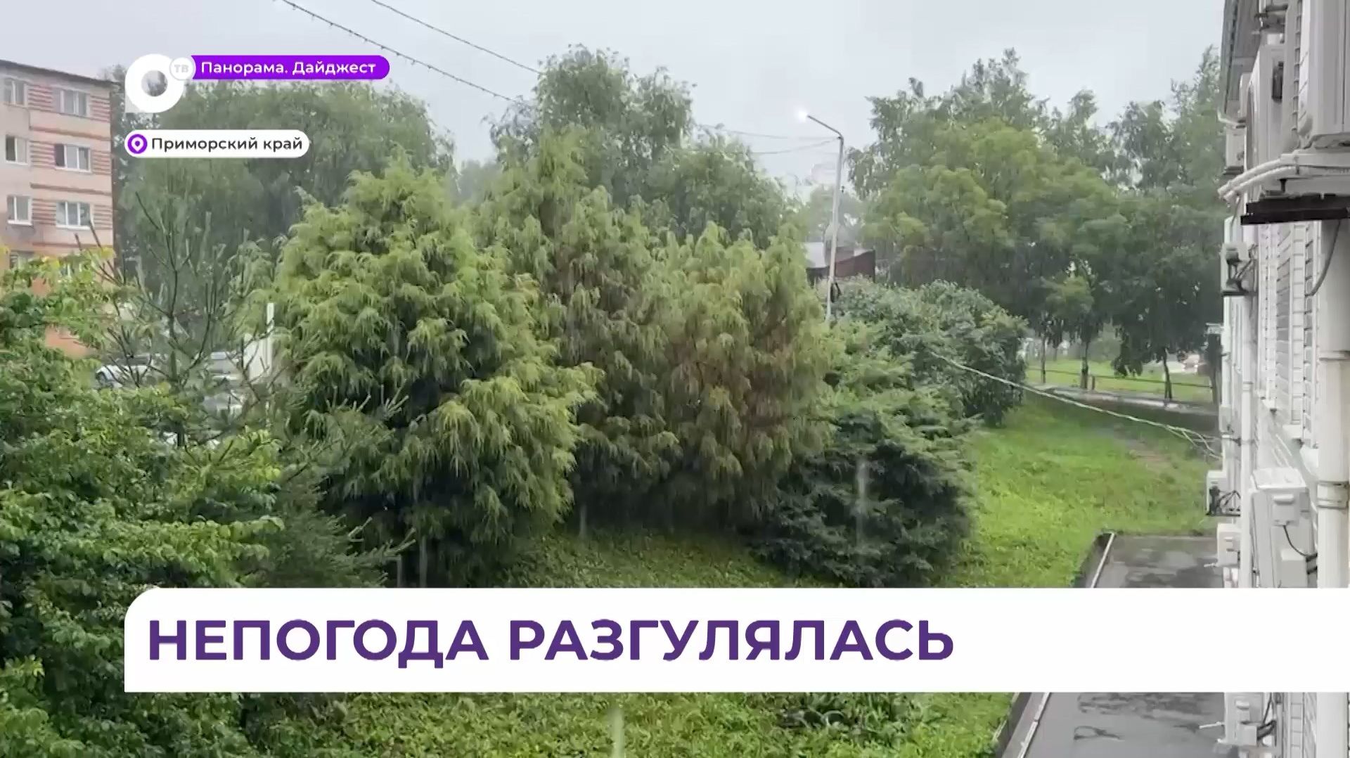 Непогода повлияла на транспортное сообщение в Пограничном и Хорольском округах смотреть онлайн
