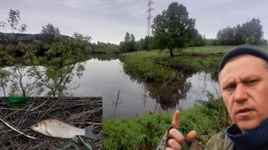 Рыбалка в Киселёвске.Карась как последний свидетель: умирающие водоёмы Кузбасса.