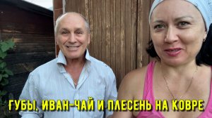 Губы, Иван-чай и плесень в спальне. На дачу с ночевкой!