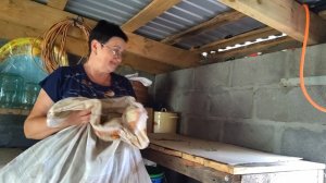 ЖИЗНЬ В СЕЛЕ:ЧАСТЬ ЛУКА УБРАЛА НА ПОГРЕБ