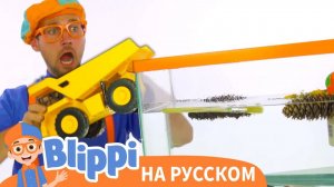 Утонет или всплывёт_ _ Блиппи на Русском _ Изучай этот Мир вместе с Блиппи _ Blippi