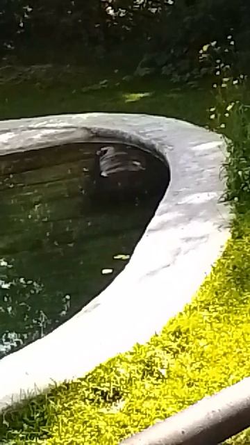 16-07-2026