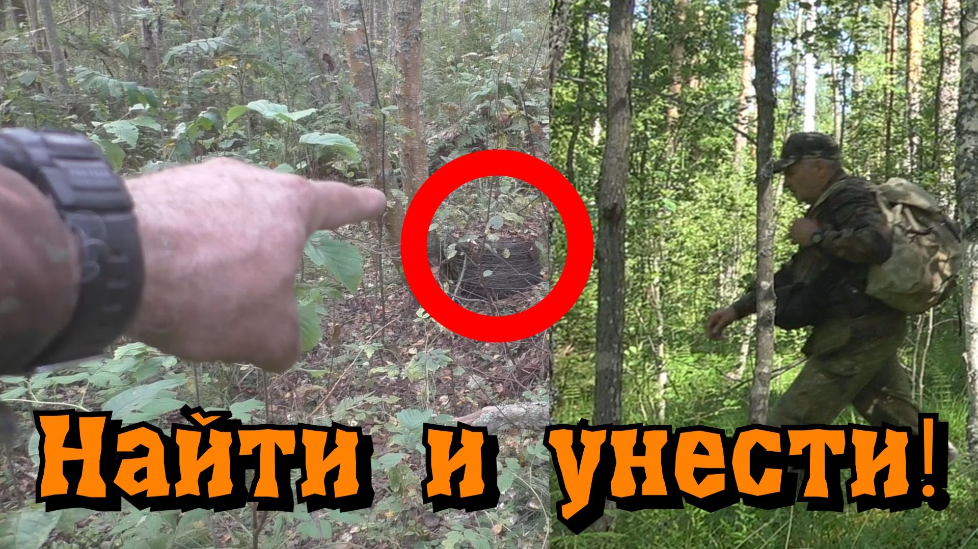 Поход за предметом обнаруженным три года назад в лесу
