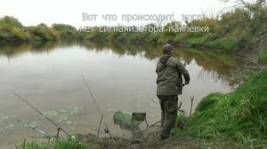 Рыбалка на диких сибирских сазанов. Как она есть.