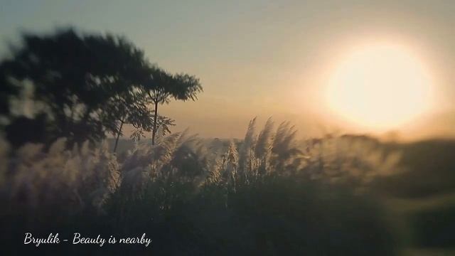 Bryulik - Beauty is nearby смотреть онлайн