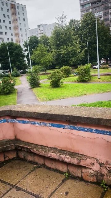 Коза в городе. Зачем Нюня приехала в мегаполис