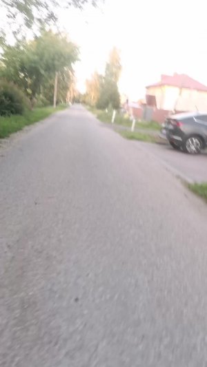 я гуляю со сьюзкай