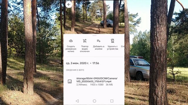 Хронолория событий задержания Павла Онищенко и Ко. Архив 03.06.2020 г. смотреть онлайн