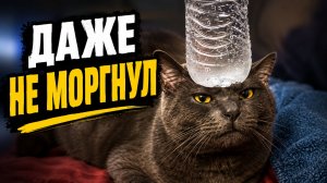 Смех до слёз: лучшие приколы №298