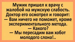 Мужик пришел к врачу с жалобой на мужскую слабость... | Анекдоты смешные | Юмор