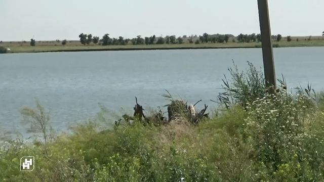 Толпинский и пруды: о голосовании на Госуслугах