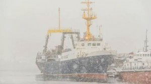 День Рыбака в г. Мурманске (каждое второе воскресенье июля).