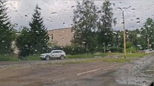 Закупили гигиену для госпиталя/ Ездим по делам/Нажарили беляшей.Наш цветник