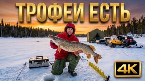 ТРОФЕИ ЕСТЬ, ОНИ НЕ МОГУТ НЕ ЕСТЬ | ЗАКРЫТИЕ ПО ТВЕРДОЙ ВОДЕ.
