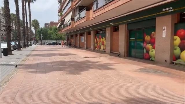 1000070432.mp4 смотреть онлайн