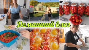 ЛЕНИВЫЙ ОБЕД🥘РАСПАКОВКА 5КА🛒 ПОМИДОРЫ НА ЗИМУ ПО РЕЦЕПТУ БАБУШКИ🍅