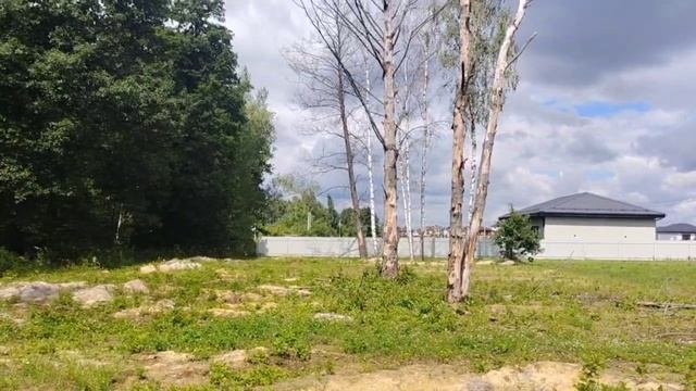 video_2026-07-16_16-03-05 смотреть онлайн