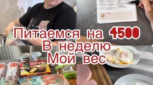 Часть 1. Что в холодильнике. Меню, закупка, готовлю, болтаю с вами🥰
